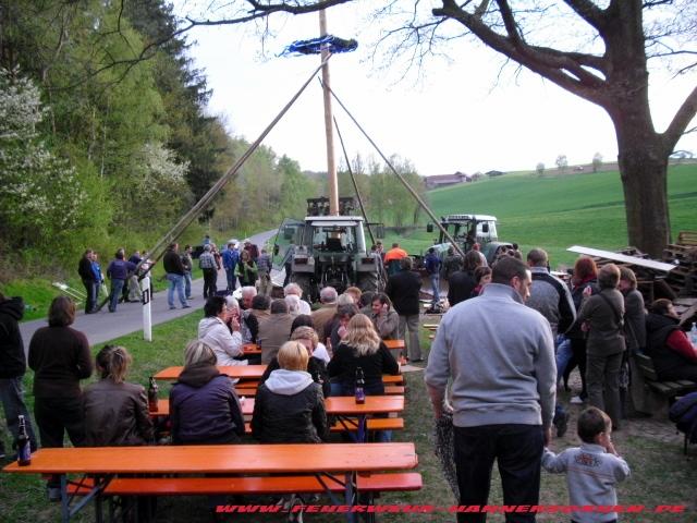 Maibaum Dreieck 027