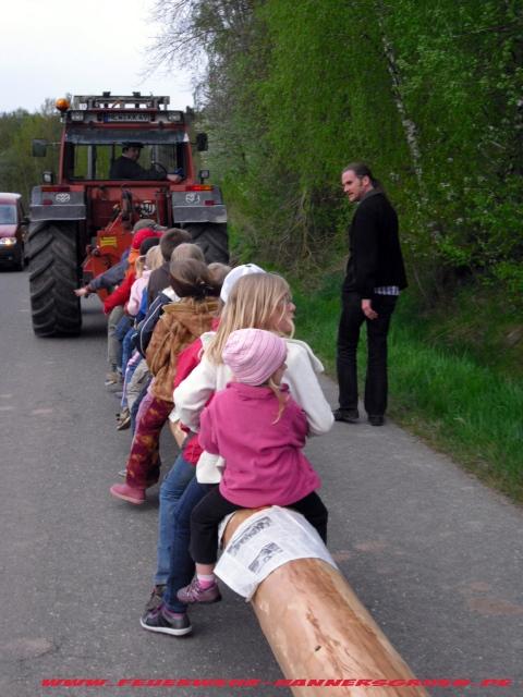 Maibaum Dreieck 014