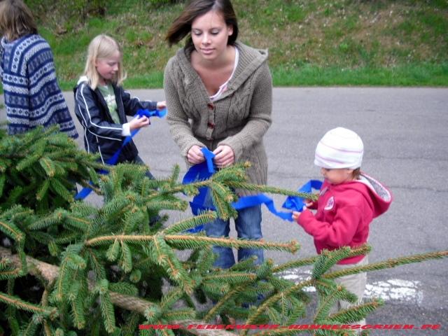 Maibaum Dreieck 019