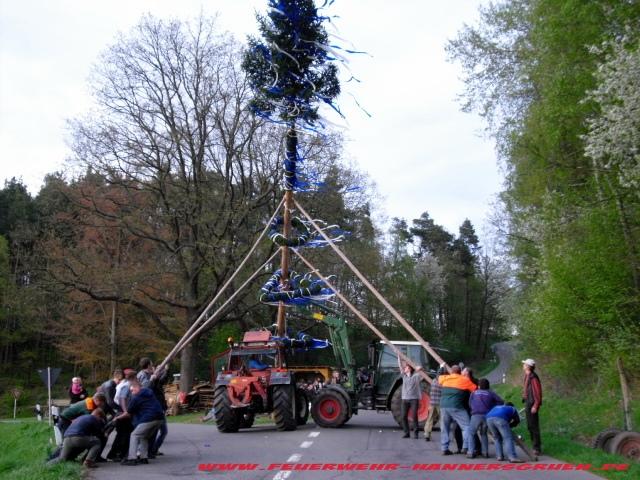 Maibaum Dreieck 024